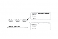 Bitcoin Cash hardforks