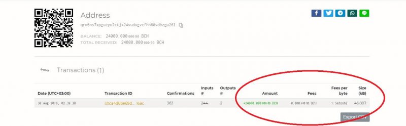 Tūkstošiem bitkoinu sākuši kustību ar Silk Road saistītās adresēs 11 Bitcoin Cash transakcijas