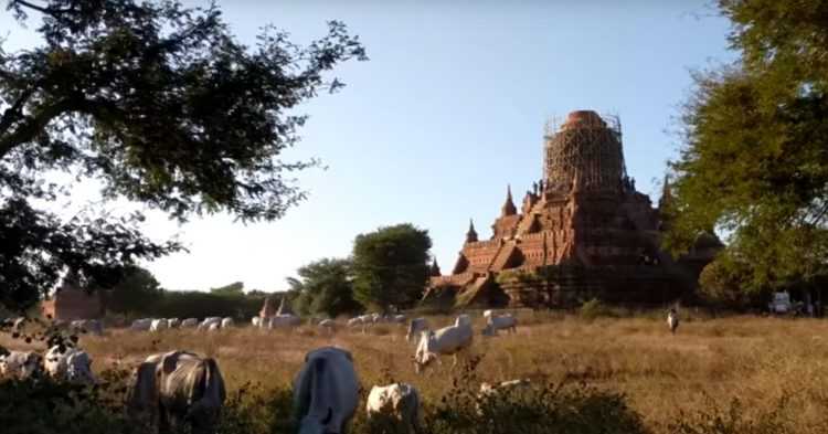 Blogeris Rafaēls izmantojis vienu bitkoinu