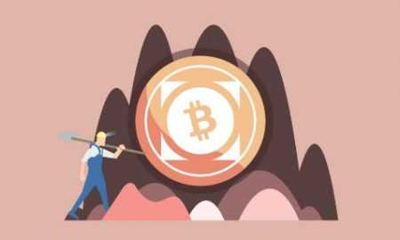 Ledger atjaunots Bitcoin Cash atbalsts pēc monētas hardfork