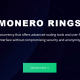 Viltus Monero hardfork ar nosaukumu Monero Rings