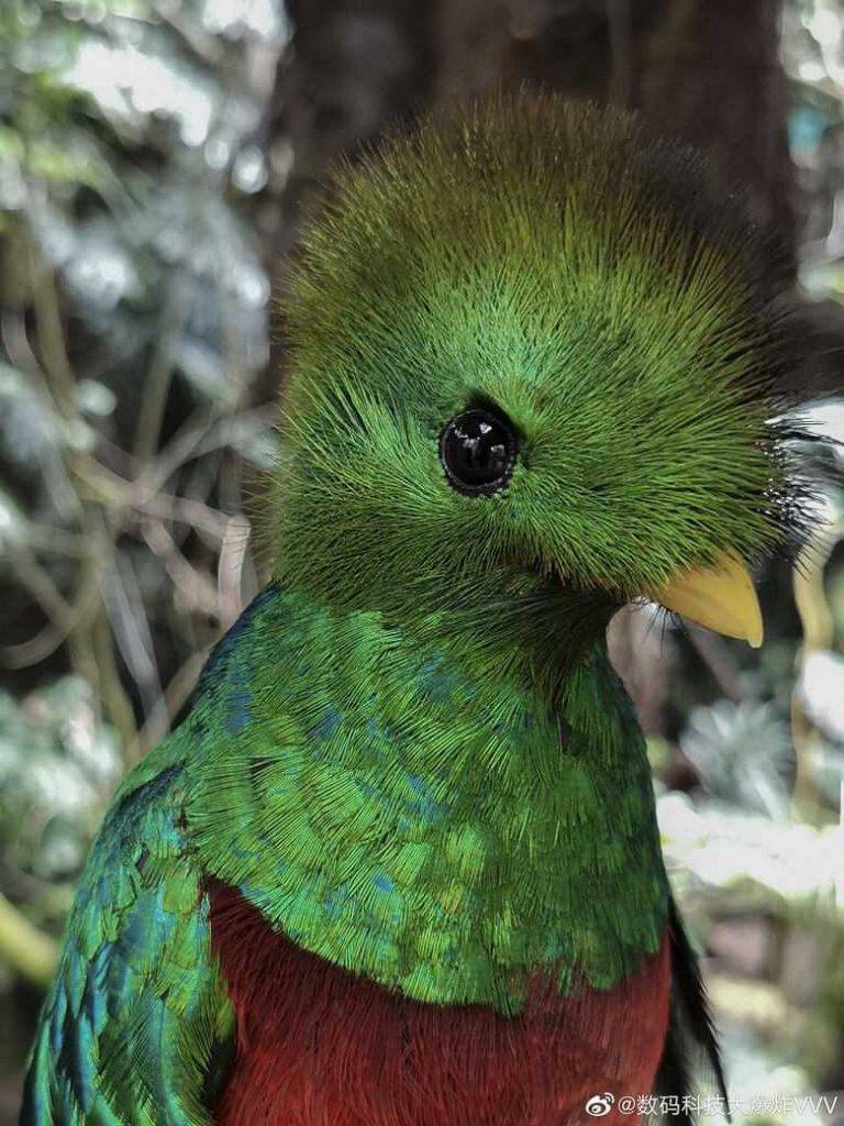 Tā fotografē telefona Huawei P40 kamera