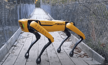Boston Dynamics robots Spot gana aitas, pārbauda ražu un vārtās zālē (Video)
