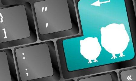 „TikTok”, „Roblox” un spēļu videofilmas: ko bērni meklēja 2020./2021. gadā