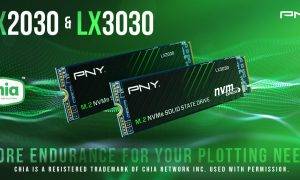 SSD diski Chia mainingam