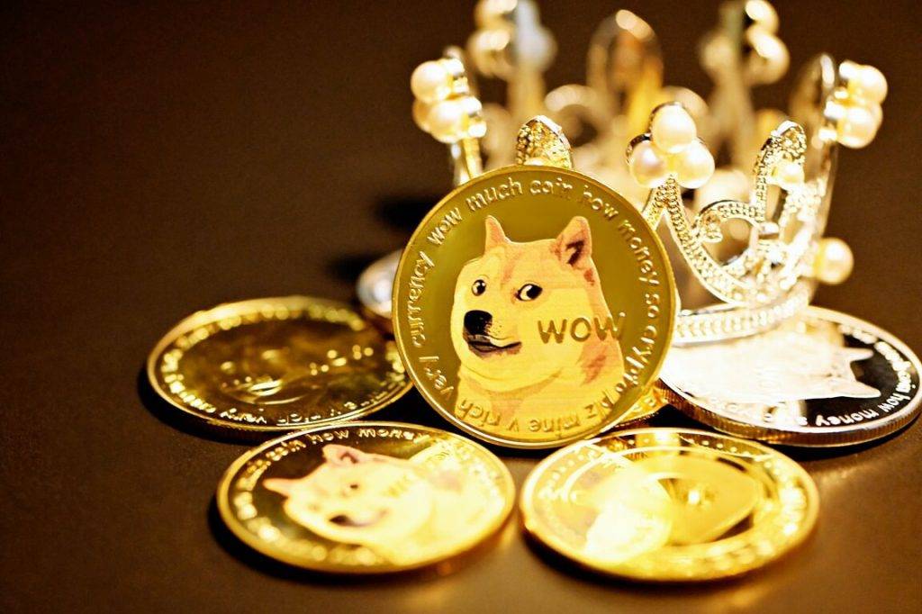 Īlona Maska pārstāvis pievienosies Dogecoin fonda valdei 5 Dogecoin update