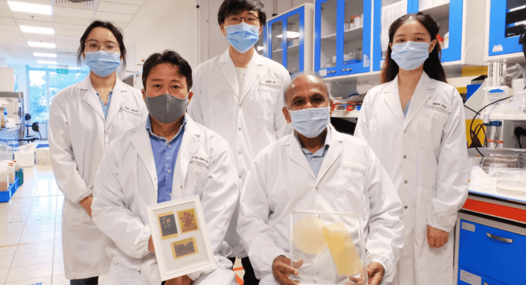 Zinātnieki ir radījuši papīru no ziedputekšņiem 3 Zinātnes jaunumi