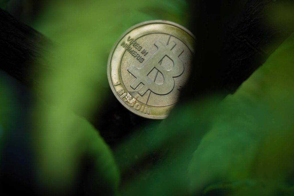 Eiropas Centrālā bankas vadītāja paziņo, ka viņas dēls investējis kriptovalūtā 5 ECB kriptovalūta