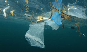 Kāpēc pasaules okeāns slīkst plastmasā un kā to novērst?