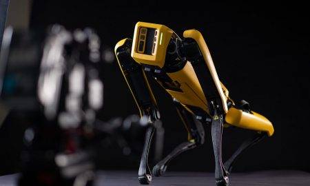 Brits iegādājas robotsuņus, lai meklētu pazaudētu cieto disku ar 7500 BTC