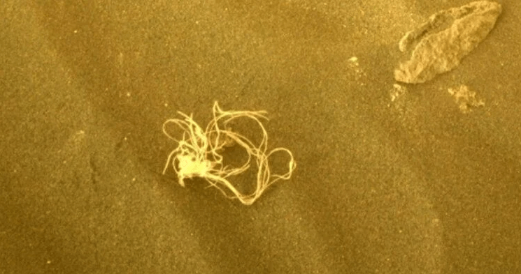 Uz Marsa atrasts virvei līdzīgs objekts. Kas tas?