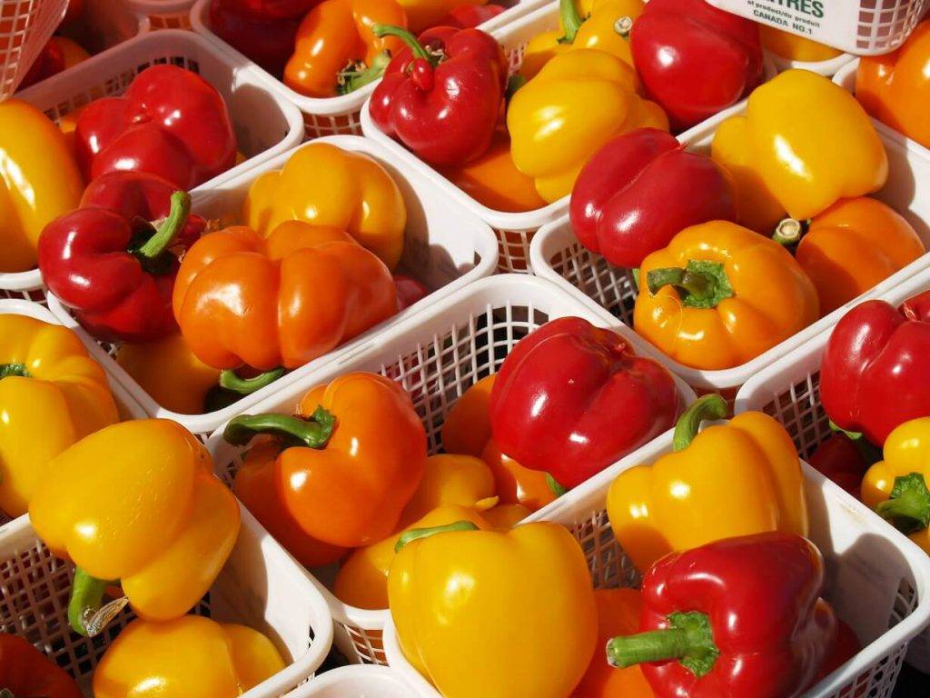 Rimi aicina jaunuzņēmumus izstrādāt risinājumus veselīgas pārtikas patēriņa veicināšanai