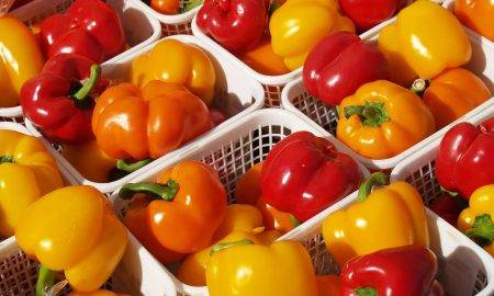 Rimi aicina jaunuzņēmumus izstrādāt risinājumus veselīgas pārtikas patēriņa veicināšanai