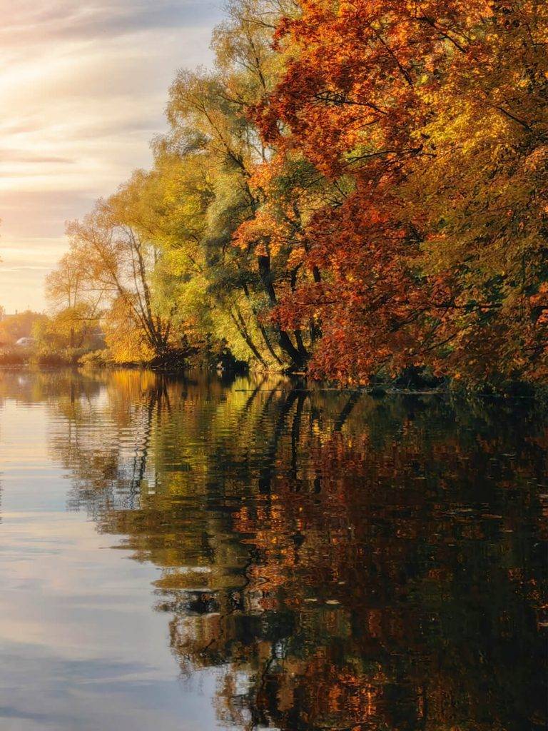 Kā uzņemt veiksmīgus attēlus ar viedtālruni? Iesaka fotogrāfs Valdis Skudre 10 Kā uzņemt veiksmīgus attēlus ar viedtālruni? Iesaka fotogrāfs Valdis Skudre