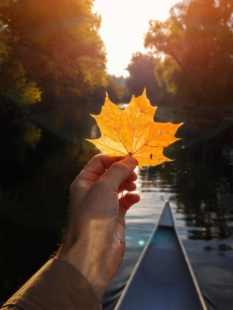 Kā uzņemt veiksmīgus attēlus ar viedtālruni? Iesaka fotogrāfs Valdis Skudre 9 Kā uzņemt veiksmīgus attēlus ar viedtālruni? Iesaka fotogrāfs Valdis Skudre