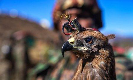 Indijas militāristi aprīko putnus ar 40 USD vērtām AliExpress kamerām