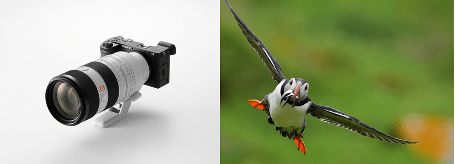 Sony paplašina objektīvu klāstu ar jauno FE 70-200MM F4 Macro G OSS II 5 Sony paplašina objektīvu klāstu ar jauno FE 70-200MM F4 Macro G OSS II