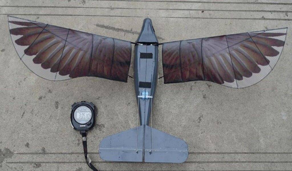 Drons, kas līdzigs putnam un ir neredzams radariem