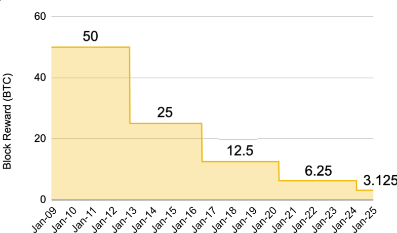 Nozīmīgākās kripto nozares tendences un notikumi, kam jāpievērš uzmanība 2024. gadā 24 Block rewards after each Bitcoin halving