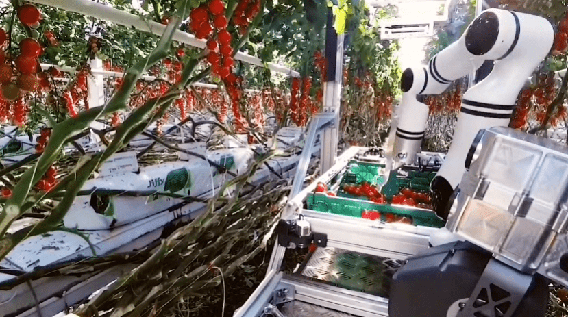 Šveices jaunuzņēmuma Floating Robotics robots novāc tomātu ražu siltumnīcās (video) 7 Šveices jaunuzņēmuma Floating Robotics robots novāc tomātu ražu siltumnīcās (video)