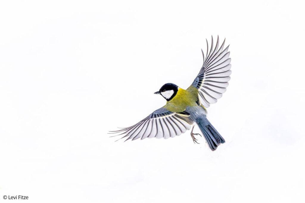 Sony laiž klajā savu pirmo 800 mm supertelefoto tālummaiņas G objektīvu™ -  FE 400-800mm F6.3-8 G 