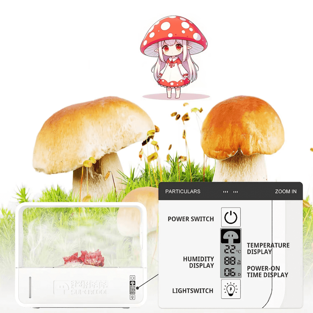 Preces no Aliexpress: Mushroom Grow Kit