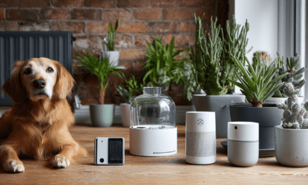 Viedierīces mājdzīvniekiem