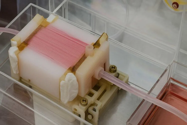 Mākslīgas gaļas radīšanas process bioreaktorā