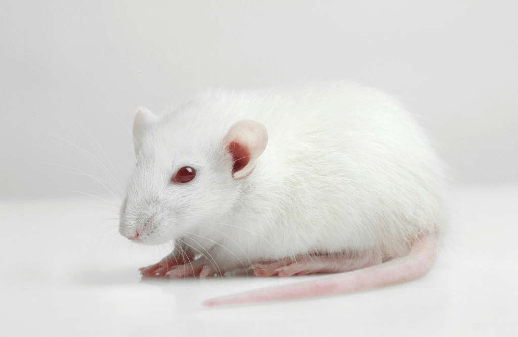 Cilvēks kā izmēģinājuma trusītis: četri eksperimenti, kas šokēja pasauli