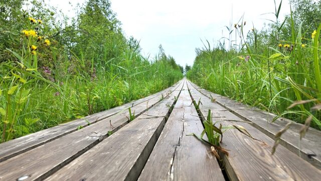 Dacia Bigster apskats 26