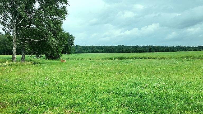 Dacia Bigster apskats