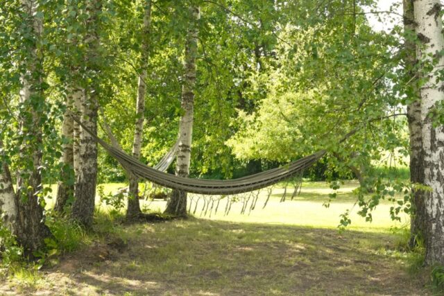 Dacia Bigster apskats 79 1024x683