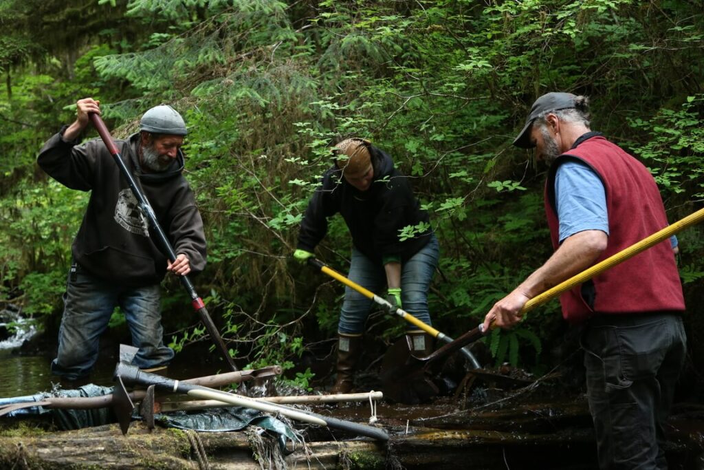 Misija: izdzīvot. Trīs patiesi stāsti par dabas nesatricināmo spēku cīņā starp dzīvību un nāvi 