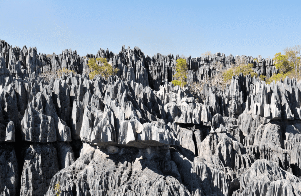 Benfas nacionālais parks Kanādā