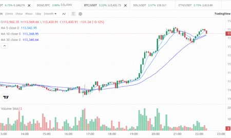 Bitcoin sasniedz jaunu rekordcenu $113,70 USD
