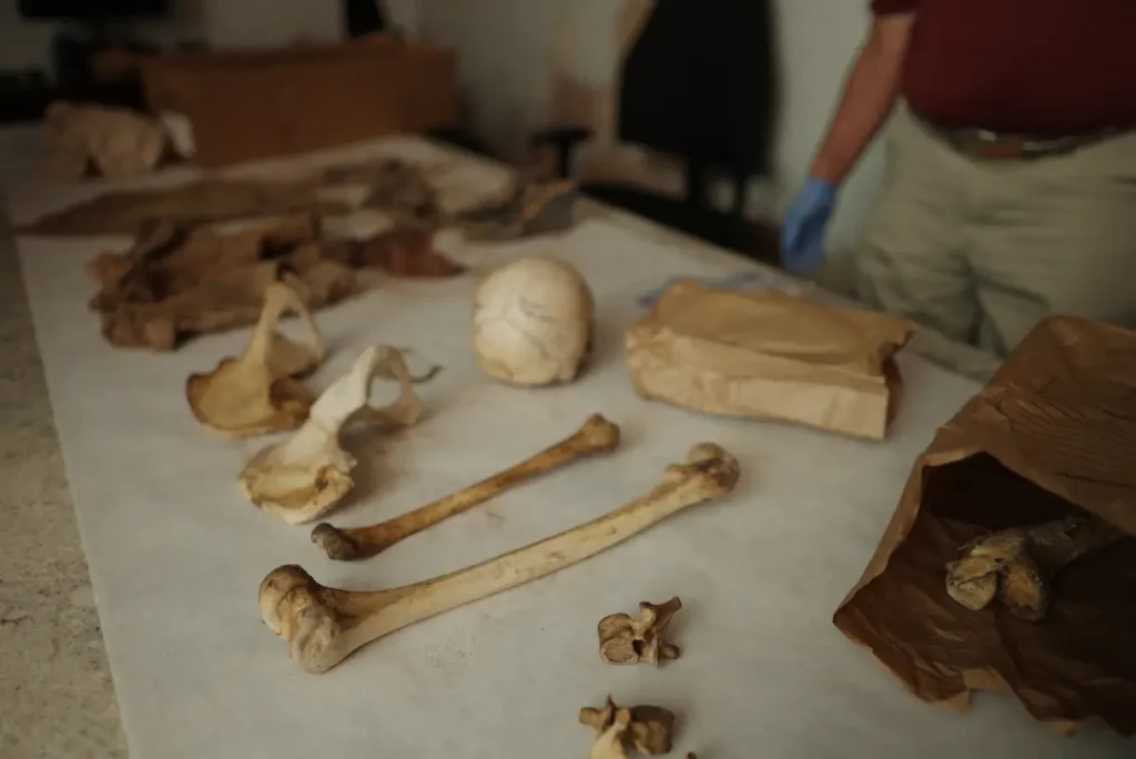 Vienīgie pierādījumi: kaste kaulu 