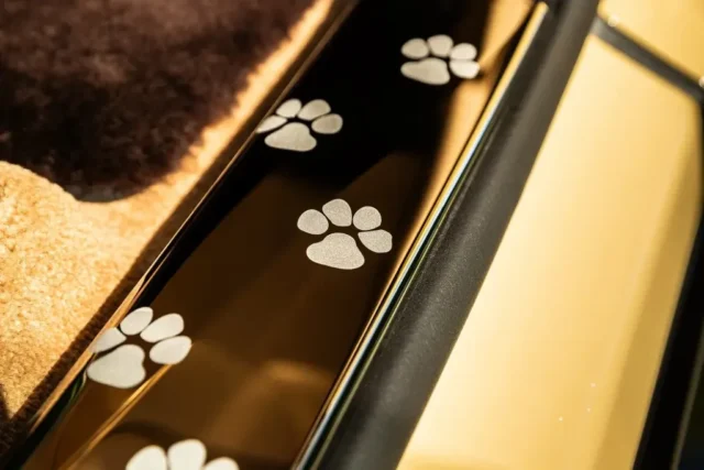 Rolls-Royce Spectre Bailey – sirsnīgs veltījums sunim 12 Rolls-Royce Spectre Bailey