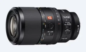 Sony FE 100 mm F2.8 Macro GM OSS